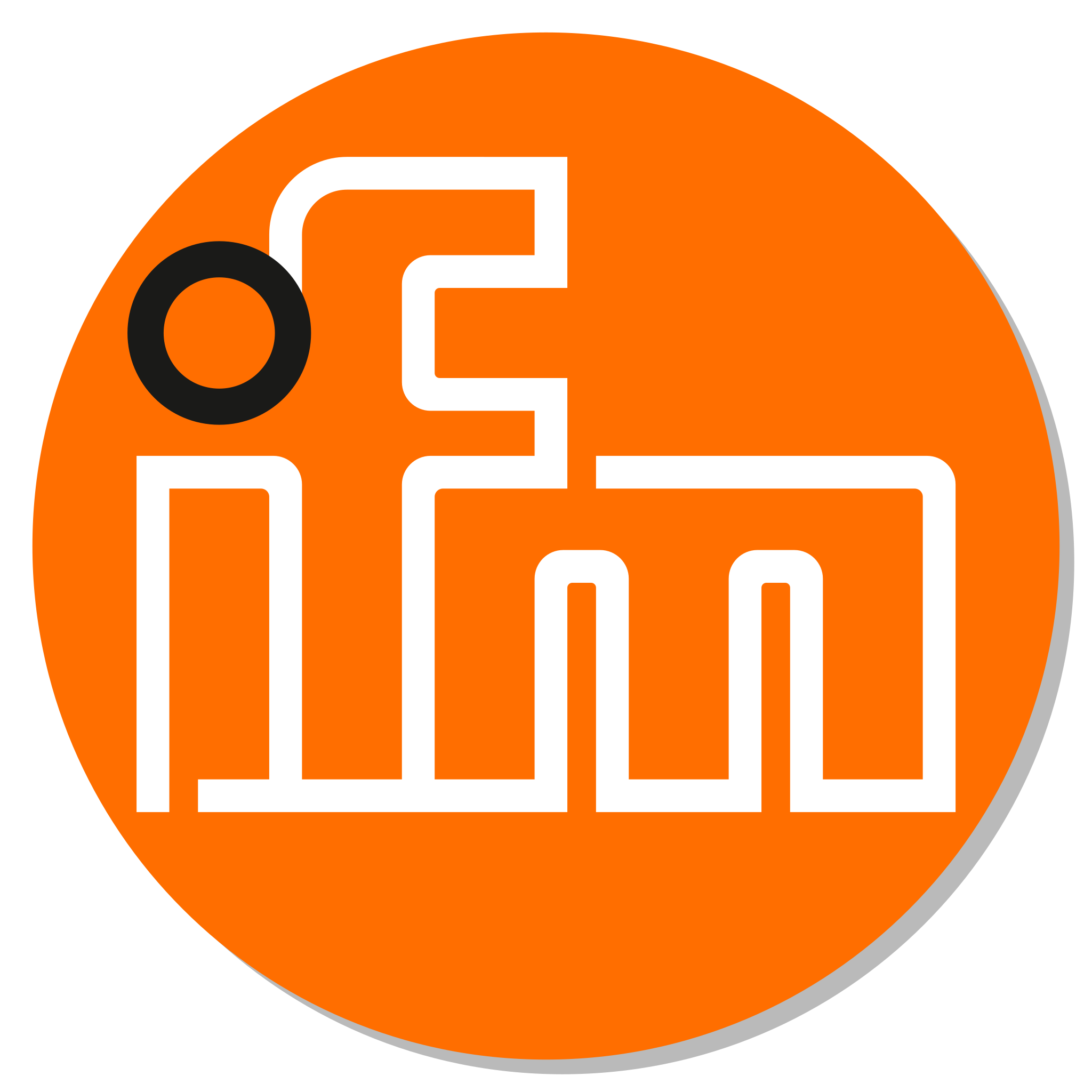 IFM logo
